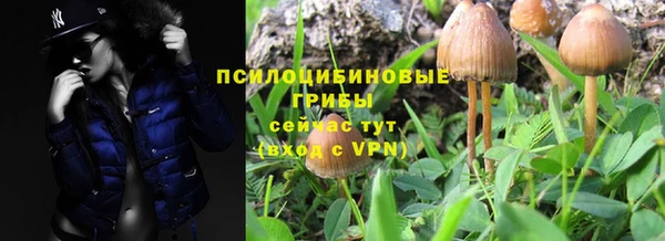 метадон Абаза