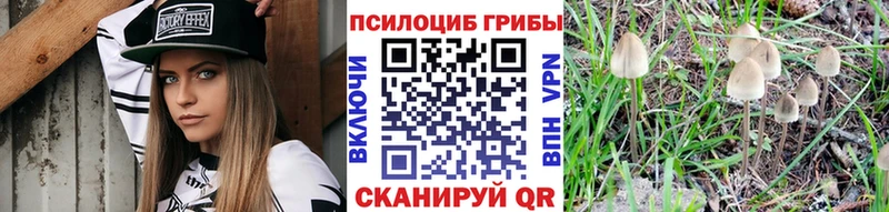 Галлюциногенные грибы Psilocybine cubensis Усть-Катав
